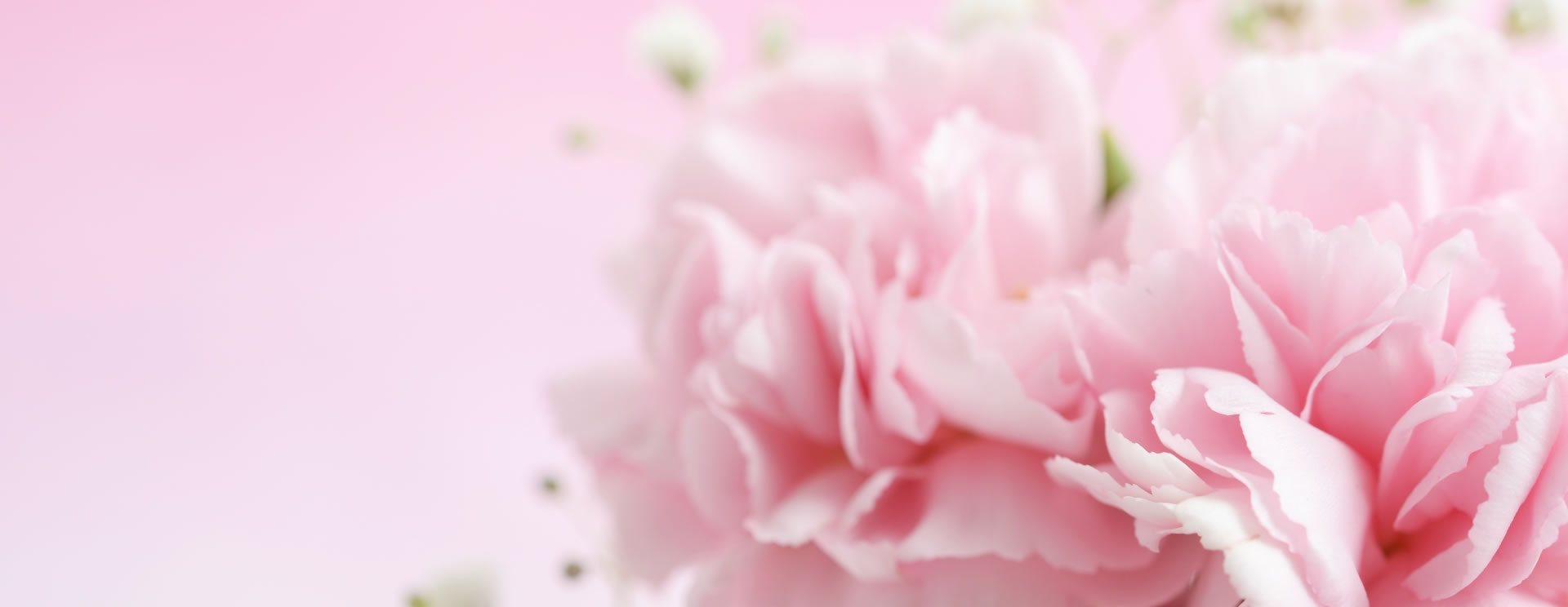 企画・コンサルティング・ブランド提案ならサポート・ネット・コミュニケーションへ